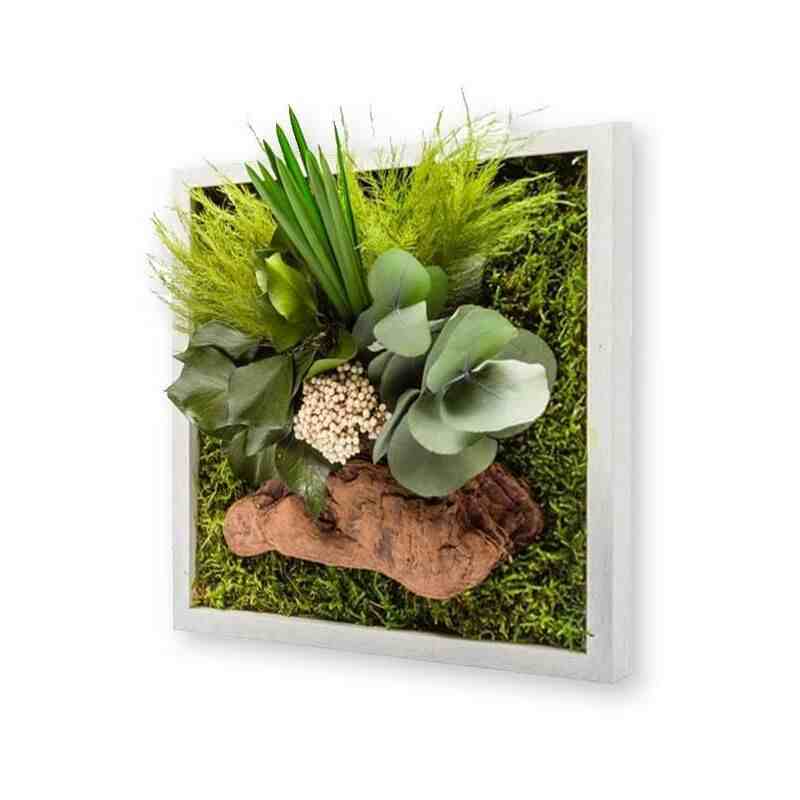 tableau-salon-scandinave-plantes-veritables